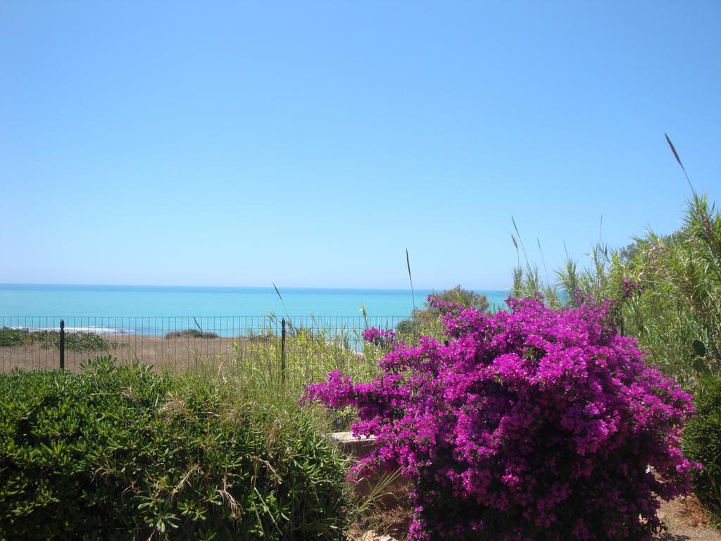 Cala Vigliena Il Sole Negli Occhi Villa Punta Braccetto Szoba fotó